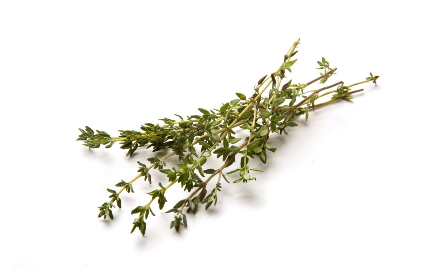 Huile Essentielle de Thym Vulgaire