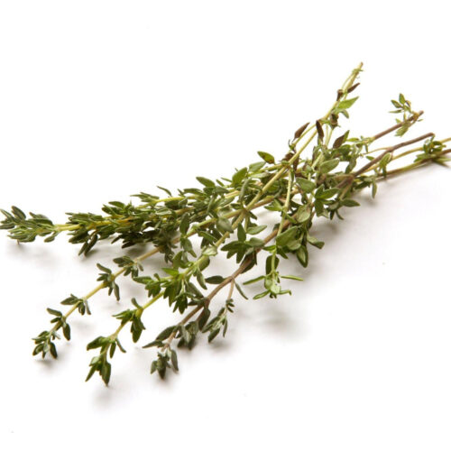 Huile Essentielle de Thym Vulgaire